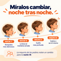 MyDorsea Almohadaa